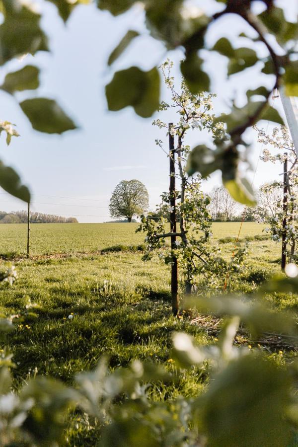 Buitengewoon Libeek