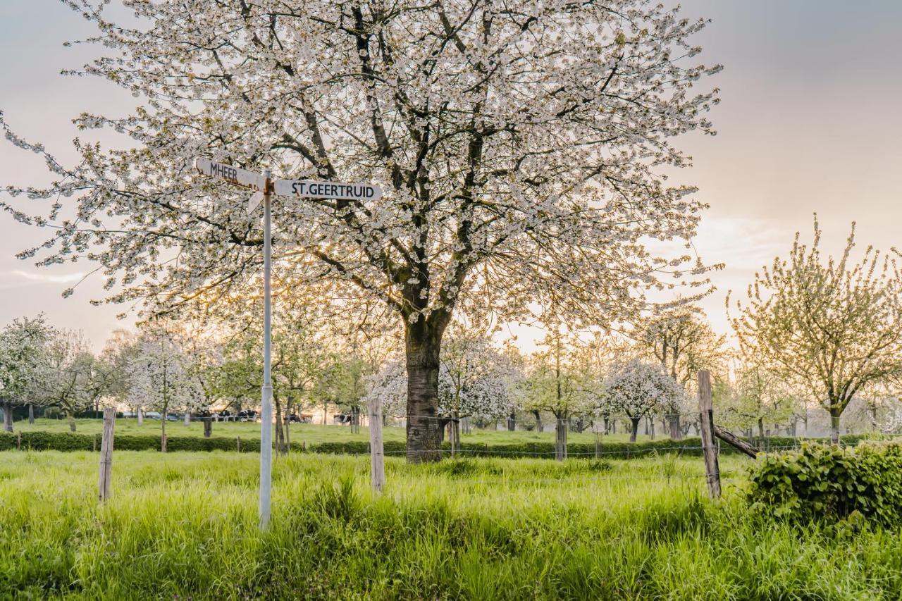 Buitengewoon Libeek *